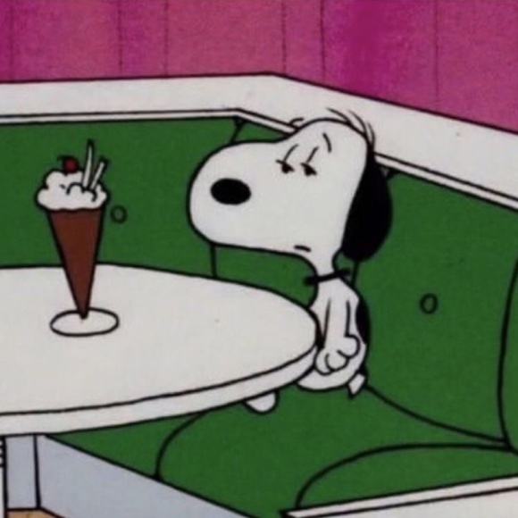 Meet your Posher, Elsie - Picture 1 of 1